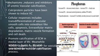 • Mechanisms ,inducers and inhibitors
of uremic Vascular calcification.
• Calciprotein particles have been
shown to induce VC
• Cellular responses includes
transdifferentiation of vascular
smooth cells into osteoblast like
cells, apoptosis, Extracellular matrix
degradation, matrix vesicle formation
and cell death.
• Promote calcification of ECM in
medial layer of BV. Meanwhile
inhibitors feutin A , Mg and
osteoprotegerin inhibit calcification
process.
KDIGO suggests to do XRAY for vascular
and ECHO for valvular calcification.
 