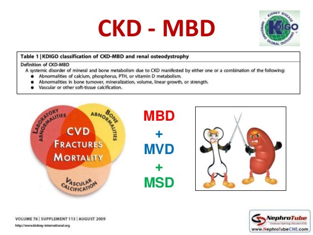 ebook ebook diabetic nephropathy