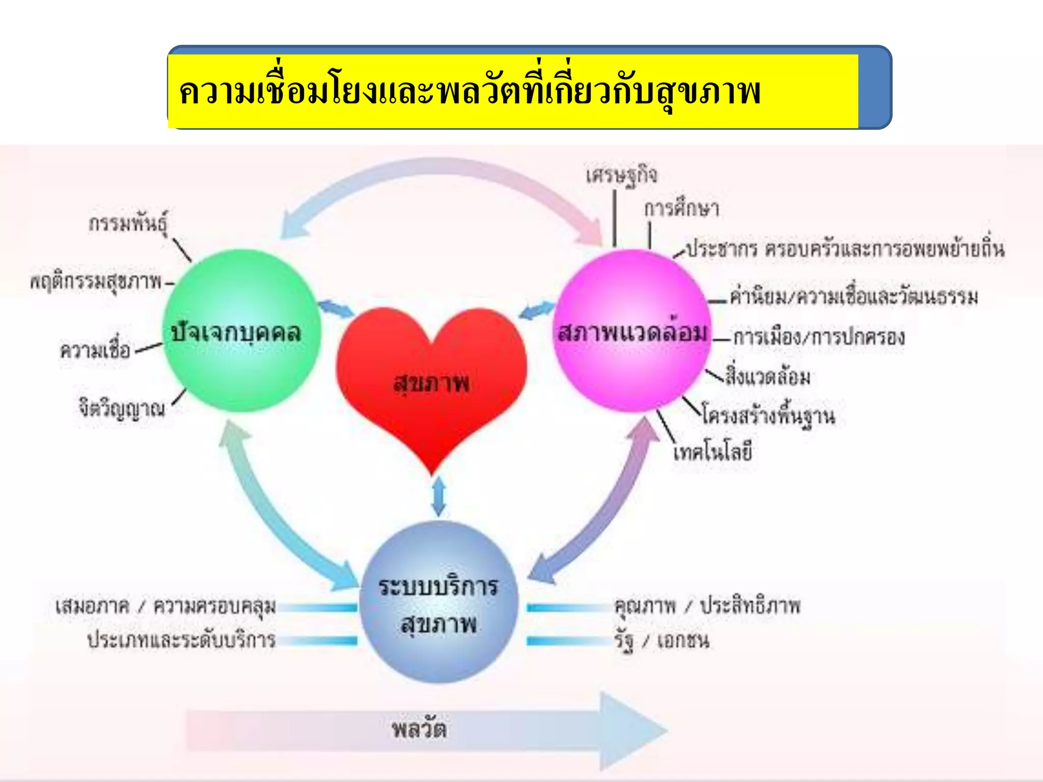 ความเชื่อมโยงและพลวัตที่เกี่ยวกับสุขภาพ
 