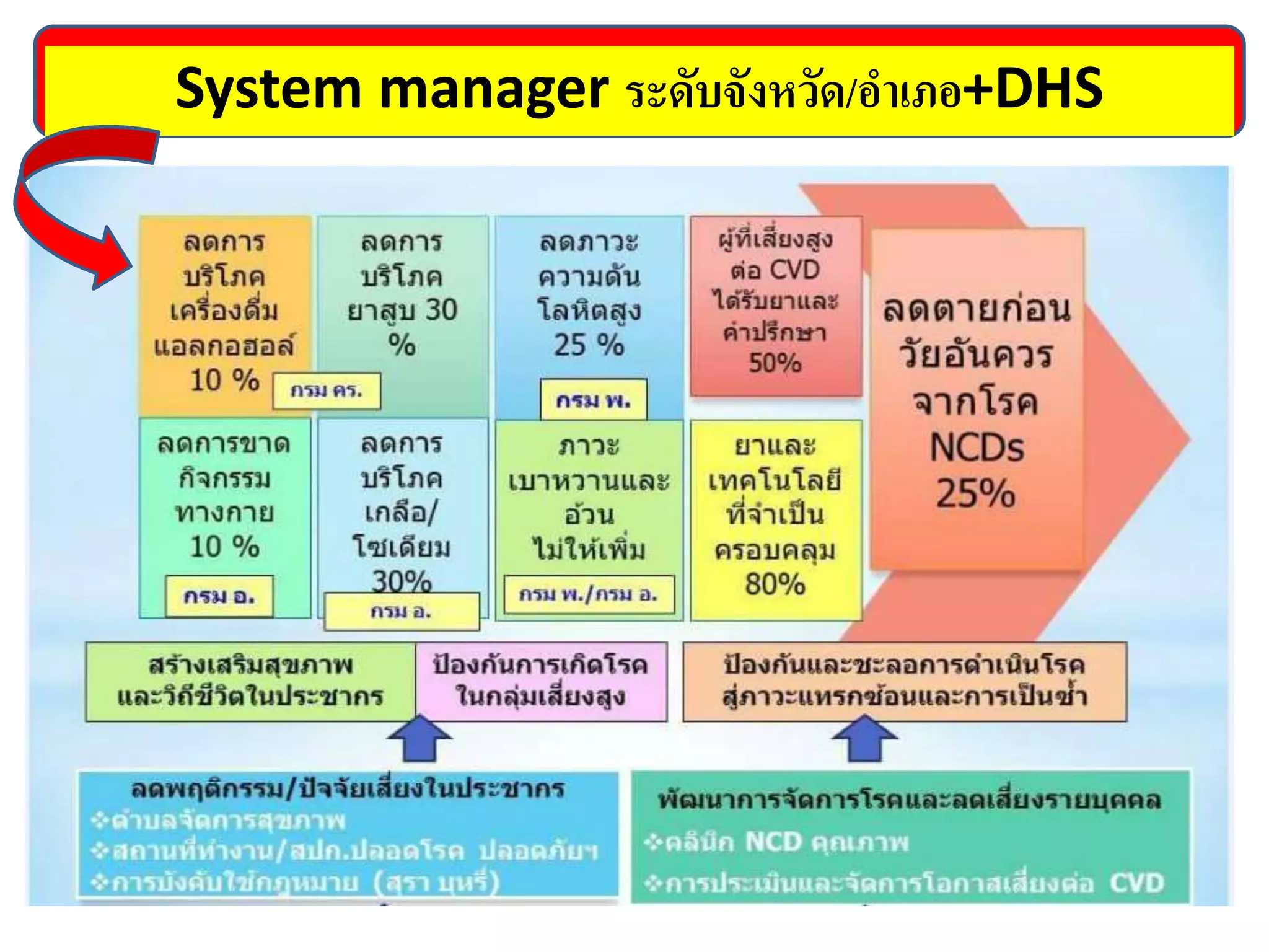 System manager ระดับจังหวัด/อาเภอ+DHS
 