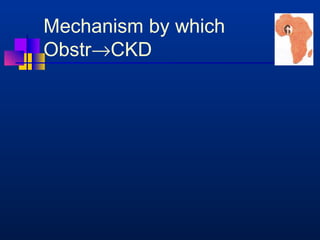 Mechanism by which 
Obstr®CKD 
 