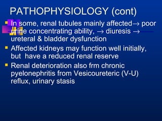 PATHOPHYSIOLOGY (cont) 
 In some, renal tubules mainly affected® poor 
urine concentrating ability, ® diuresis ® 
ureteral  bladder dysfunction 
 Affected kidneys may function well initially, 
but have a reduced renal reserve 
 Renal deterioration also frm chronic 
pyelonephritis from Vesicoureteric (V-U) 
reflux, urinary stasis 
 
