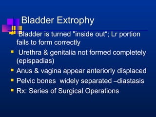 Bladder Extrophy 
 Bladder is turned inside out“; Lr portion 
fails to form correctly 
 Urethra  genitalia not formed completely 
(epispadias) 
 Anus  vagina appear anteriorly displaced 
 Pelvic bones widely separated –diastasis 
 Rx: Series of Surgical Operations 
 