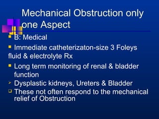 Mechanical Obstruction only 
one Aspect 
 B: Medical 
 Immediate catheterizaton-size 3 Foleys 
fluid  electrolyte Rx 
 Long term monitoring of renal  bladder 
function 
 Dysplastic kidneys, Ureters  Bladder 
 These not often respond to the mechanical 
relief of Obstruction 
 