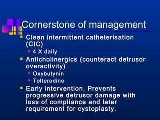 Cornerstone of management 
 Clean intermittent catheterisation 
(CIC) 
 4 X daily 
 Anticholinergics (counteract detrusor 
overactivity) 
 Oxybutynin 
 Tolterodine 
 Early intervention. Prevents 
progressive detrusor damage with 
loss of compliance and later 
requirement for cystoplasty. 
 
