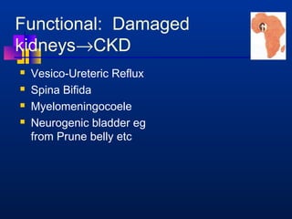 Functional: Damaged 
kidneys®CKD 
 Vesico-Ureteric Reflux 
 Spina Bifida 
 Myelomeningocoele 
 Neurogenic bladder eg 
from Prune belly etc 
 