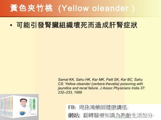 黃色夾竹桃 (Yellow oleander )
• 可能引發腎臟組織壞死而造成肝腎症狀
Samal KK, Sahu HK, Kar MK, Palit SK, Kar BC, Sahu
CS: Yellow oleander (cerbera thevetia) poisoning with
jaundice and renal failure. J Assoc Physicians India 37:
232–233, 1989
 