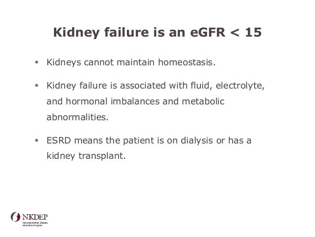 Chronic Kidney Disease In Primary Care