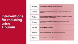 Achieve blood pressure targets (ACEi/ARB)Achieve
Nephrotective therapies: ACEi/ARB + SGLT2i (in patients with
diabetes)Initiate
Reduce sodium intake (but note emerging data about possible
harms in patients with diabetes)Reduce
Achieve good control of diabetes early; may help prevent
albuminuriaAchieve
Reduce weight (if obese)Reduce
Reduce protein intake, if excessive (>1.2 gm/kgr)Reduce
Achieve tobacco cessationAchieve
Interventions
for reducing
urine
albumin
 