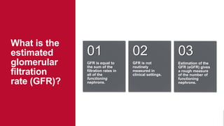 GFR is equal to
the sum of the
filtration rates in
all of the
functioning
nephrons.
01
GFR is not
routinely
measured in
clinical settings.
02
Estimation of the
GFR (eGFR) gives
a rough measure
of the number of
functioning
nephrons.
03
What is the
estimated
glomerular
filtration
rate (GFR)?
 
