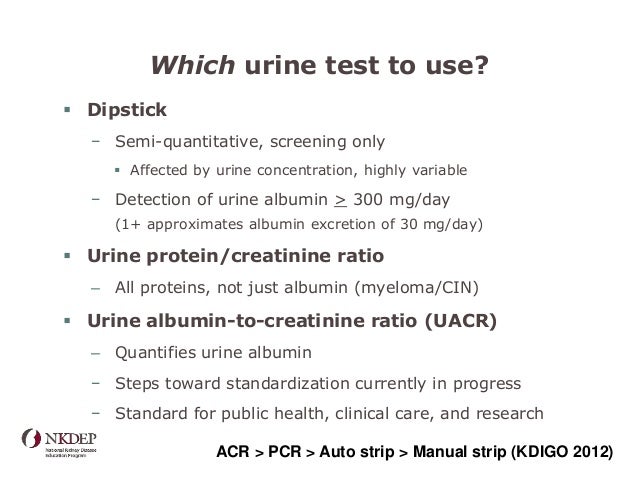 test pregnancy mechanism strip CKD Medical for Students test pregnancy mechanism strip CKD Medical for Students
