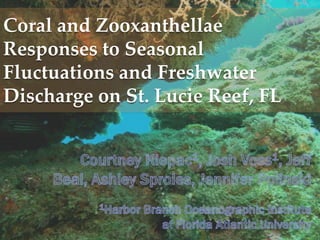 Coral and Zooxanthellae
Responses to Seasonal
Fluctuations and Freshwater
Discharge on St. Lucie Reef, FL
 