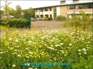 Carrongrange School 