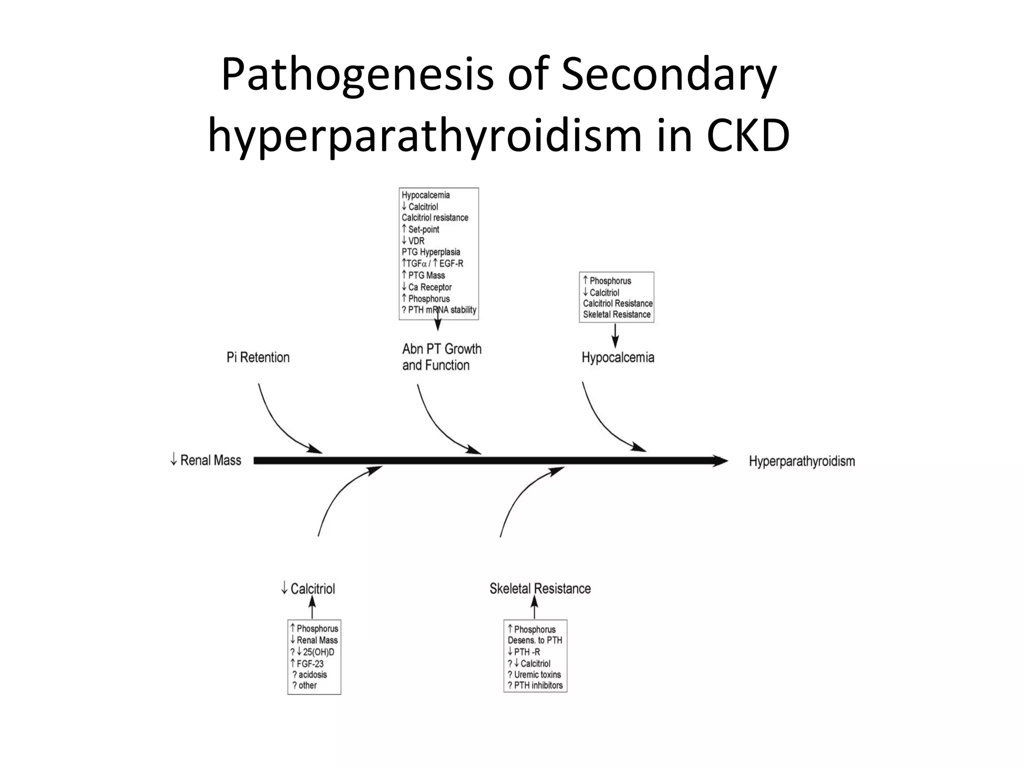 Pathogenesis of Secondary
hyperparathyroidism in CKD
 