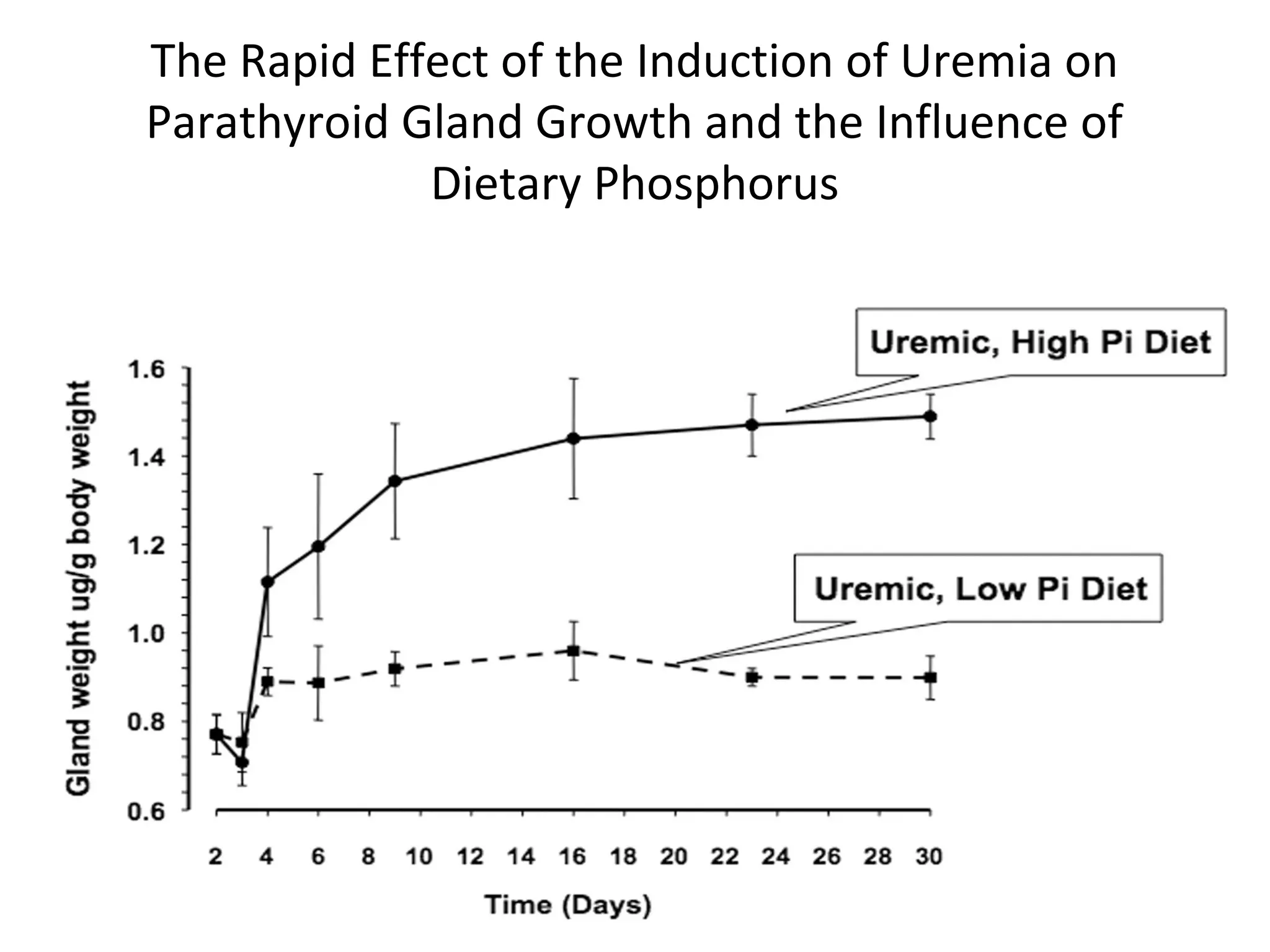 The Rapid Effect of the Induction of Uremia on
Parathyroid Gland Growth and the Influence of
             Dietary Phosphorus
 
