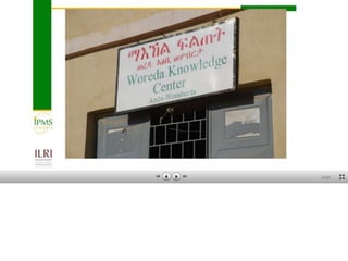  A snapshot of some communication and knowledge management approaches used by ILRI