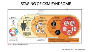 CKM risk score,.a novelCVS risk predictor | PPTX