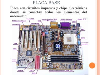 DISPOSITIVOS DE LA PLACA BASE 
Microprocesador: Es un chip 
electrónico que procesa toda la 
información. Es el cerebro d...