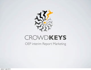 CROWDKEYS
                       OEP interim Report Marketing




sabato 7 luglio 2012
 