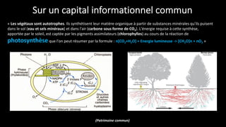 « Les végétaux sont autotrophes. Ils synthétisent leur matière organique à partir de substances minérales qu'ils puisent
dans le sol (eau et sels minéraux) et dans l'air (carbone sous forme de CO2). L'énergie requise à cette synthèse,
apportée par le soleil, est captée par les pigments assimilateurs (chlorophylles) au cours de la réaction de
photosynthèseque l'on peut résumer par la formule : n[CO2+H2O] + Energie lumineuse -> [CH2O]n + nO2 »
Sur un capital informationnel commun
(Patrimoine commun)
 