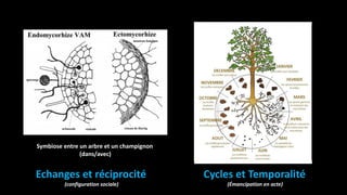 Echanges et réciprocité
(configuration sociale)
Cycles et Temporalité
(Émancipation en acte)
Symbiose entre un arbre et un champignon
(dans/avec)
 