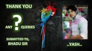 THANK YOU
SUBMITTED TO,
BHADU SIR ..YASH..
ANY QUERIES
 
