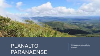 8 complexo regional-centro-sul