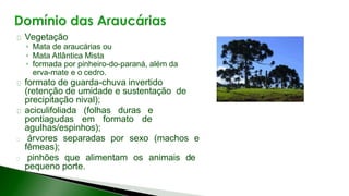 8 complexo regional-centro-sul