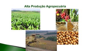 8 complexo regional-centro-sul