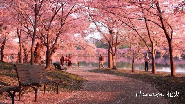 Sakura Sakura Cherry Blossoms Japanese Folk Song For Grade 8 MA 