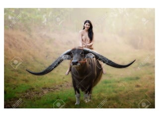 Process Improvement Tools Daniel Pirzada