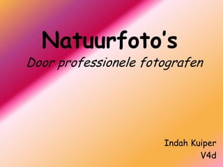 Natuurfoto’s Door professionele fotografen Indah Kuiper V4d 