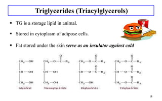 Triglyceride Classification CL-02: lipid classification & Simple lipids by Santhosh Kumar .pptx