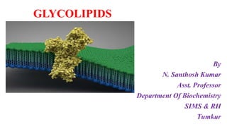 GLYCOLIPIDS
By
N. Santhosh Kumar
Asst. Professor
Department Of Biochemistry
SIMS & RH
Tumkur
 