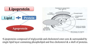 CL-04: Glycolipids & Lipoproteins | PPTX