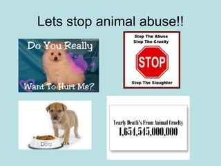 Lets stop animal abuse!!
 