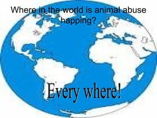 Where in the world is animal abuse
            happing?
 