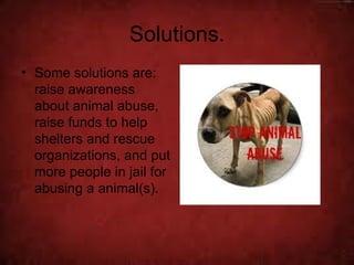 Solutions.
• Some solutions are:
  raise awareness
  about animal abuse,
  raise funds to help
  shelters and rescue
  organizations, and put
  more people in jail for
  abusing a animal(s).
 