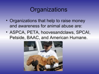 Organizations
• Organizations that help to raise money
  and awareness for animal abuse are:
• ASPCA, PETA, hoovesandclaws, SPCAI,
  Petside, BAAC, and American Humane.
 