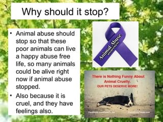 Why should it stop?

• Animal abuse should
  stop so that these
  poor animals can live
  a happy abuse free
  life, so many animals
  could be alive right
  now if animal abuse
  stopped.
• Also because it is
  cruel, and they have
  feelings also.
 