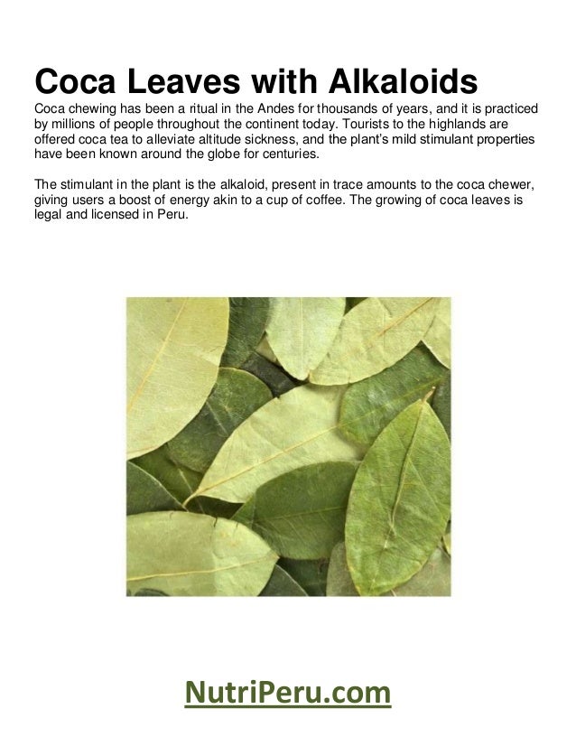 Coca Leaves with Alkaloids