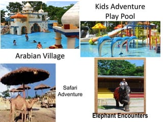 Arabian Village
Kids Adventure
Play Pool
Safari
Adventure
Elephant Encounters
 