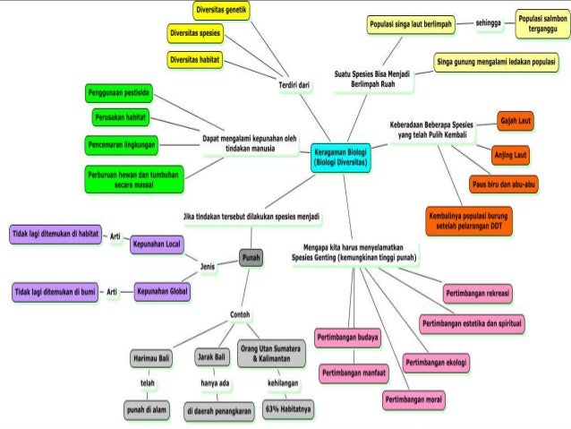 Cl 1 sistem kerja alam tempat kita tinggal hg 5