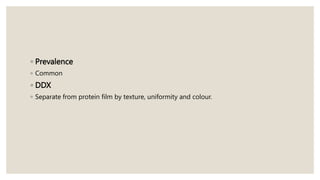 ◦ Prevalence
◦ Common
◦ DDX
◦ Separate from protein film by texture, uniformity and colour.
 