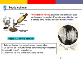 2
Teoria cel·lular
1665 Robert Hooke, examina una làmina de suro
de l’escorça d’un arbre. Estructura semblant a rusc
d’abelles amb cavitats que anomena cèl·lules.
Segle XIX. Teoria cel·lular
 Tots els éssers vius estan formats per cèl·lules
 La cèl·lula és l’estructura més senzilla capaç de realitzar
la: nutrició, relació i reproducció
 Qualsevol cèl·lula prové d’una altra cèl·lula
 