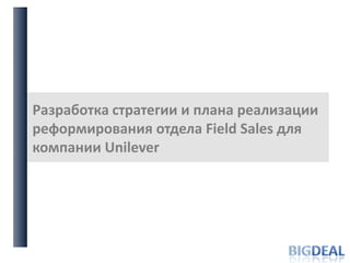 Разработка стратегии и плана реализации реформирования отдела Field Sales для компании Unilever BigDeal 