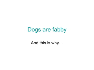 Dogs are fabby And this is why… 