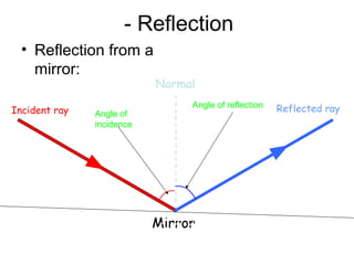 - Reflection
• Reflection from a
mirror:
Incident ray
Normal
Reflected ray
Angle of
incidence
Angle of
reflection
Mirror
Angle of
incidence
Angle of reflection
 