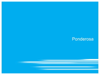 CIFS: Samba, Novell ®  CIFS 