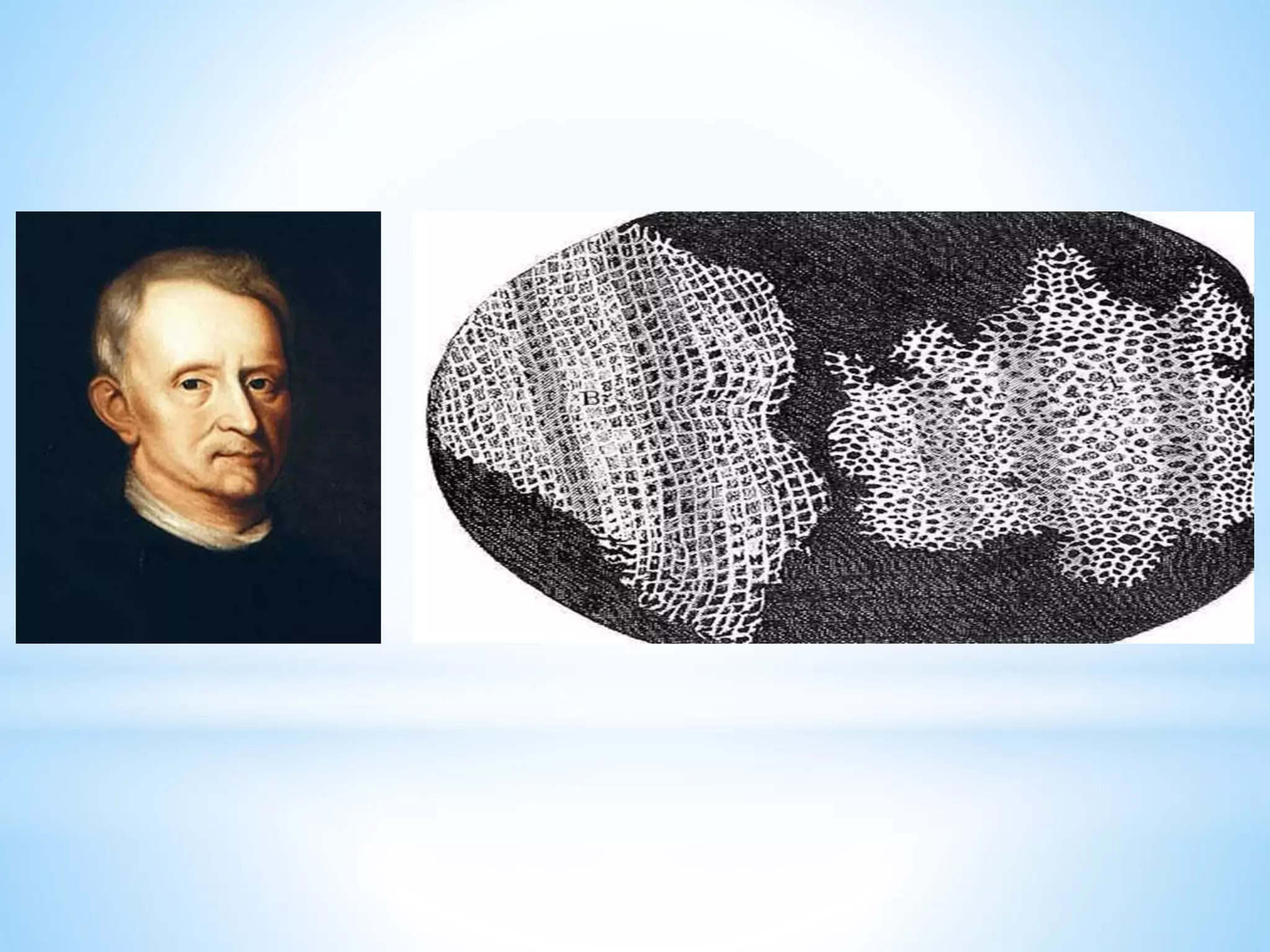 Cell (biology) visual data 4